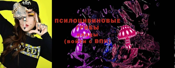 mdma Богородицк