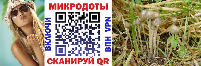 Псилоцибиновые грибы GOLDEN TEACHER  цены   Дмитровск 